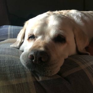 Meet your Posher, Fred